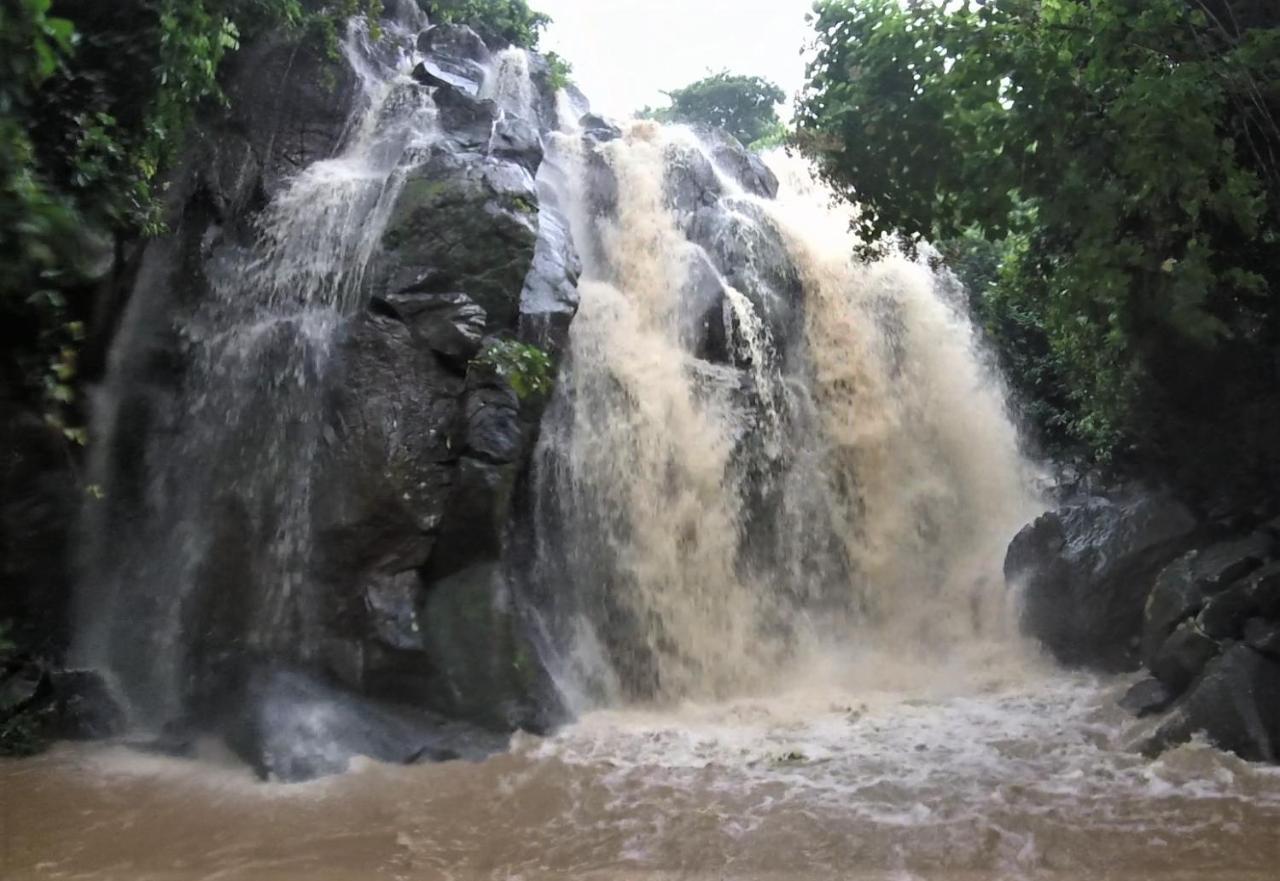 Nioumachoua Moheli Vanilla Lodge מראה חיצוני תמונה